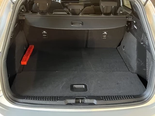 Ford Focus Ford Focus wagon Focus 1.0 EcoBoost Mild-Hybrid ST-Line - afbeelding nr 5