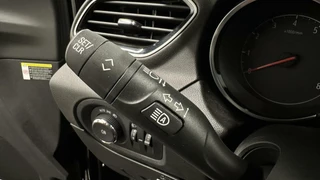 Opel Grandland X Opel Grandland X 1.2 Turbo Business Executive CAMERA LEER CARPLAY NAVIGATIE - afbeelding nr 24