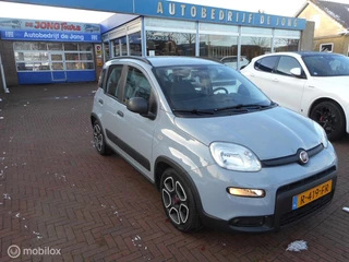 Fiat Panda 1.0 Hybrid 70 MT6 City Life CARPLAY