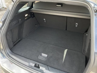 Ford Focus Ford Focus Wagon 1.0 EBH ST Line automaat 155pk - afbeelding nr 24