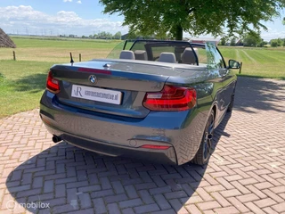 BMW 2 Serie BMW 2-serie Cabrio 220i M Sport Automaat HET DAK MAG ERAF ! - afbeelding nr 8