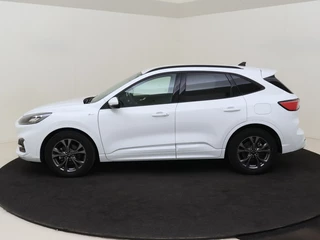 Ford Kuga - afbeelding nr 2