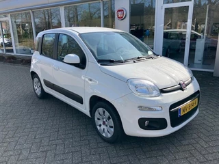 Fiat Panda - 356927569-0