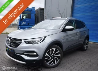 Opel Grandland X Opel Grandland X 1.2 Turbo /  Innovation / Dealer Onderhouden / 1 ste Eigenaar / - afbeelding nr 1