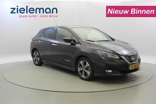 Nissan Leaf - 419895451-0