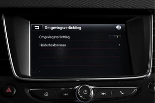 Opel Crossland X Opel Crossland X 1.2 83 PK Edition | Cruise | Stoel-+Stuurverw. | Afn.Trekhaak | PDC | App.Connect | Auto.Airco | LM 16