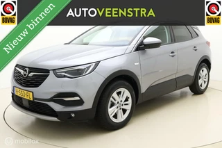 Opel Grandland X Opel Grandland X 1.2 Turbo Business Executive - afbeelding nr 1