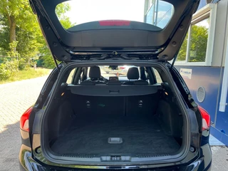 Ford Focus - afbeelding nr 15