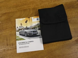 BMW 2 Serie BMW 2 Serie Cabrio 220i High Executive [CAMERA, VOL LEDER, STOELVERWARMING, PDC V+A, BLUETOOTH, CRUISE, CLIMATE, NIEUWSTAAT] - afbeelding nr 23