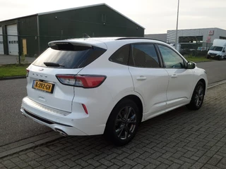 Ford Kuga - afbeelding nr 5