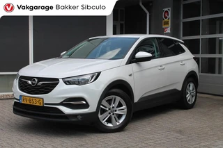 Opel Grandland X 1.2 TURBO ONLINE EDITION AIRCO NAVI TREKHAAK