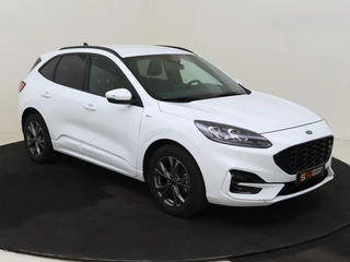 Ford Kuga - afbeelding nr 7