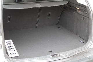Ford Focus Ford Focus Wagon 1.0 Titanium Edition|125Pk|Trekhaak|Navi - afbeelding nr 24