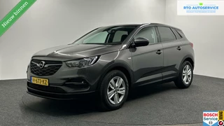 Opel Grandland X Opel Grandland X 1.2 Turbo Business Edition CARPLAY TREKHAAK - afbeelding nr 1