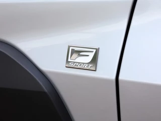 Lexus UX Lexus UX 250h F Sport Premium | Leder | Premium Audio | Stoelverwarming - afbeelding nr 38