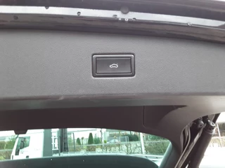 Volkswagen Tiguan - afbeelding nr 12