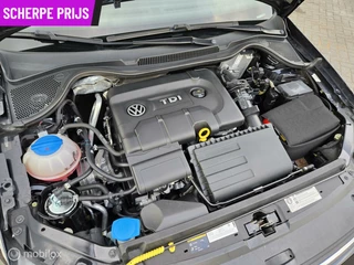 Volkswagen Polo Volkswagen Polo 1.4 TDI✅️ 2016✅️PDC✅️navigatie✅️cruisecontrol - afbeelding nr 29