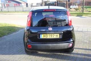 Fiat Panda - afbeelding nr 5