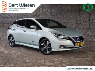 Nissan Leaf - afbeelding nr 1