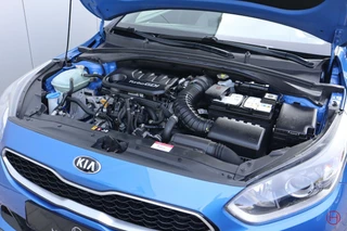 Kia ProCeed Kia ProCeed 1.0 T-GDI GT-Line / Stoel+stuurverwarming / Camera / Cruise / 1e eigenaar - afbeelding nr 59