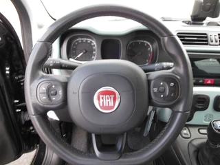 Fiat Panda Staat in Hoogeveen - afbeelding nr 14