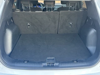 Ford Kuga - afbeelding nr 6