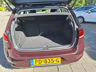 Volkswagen Golf VOLKSWAGEN GOLF 1.0 TSI COMFORTLINE / ACC / Carplay / - afbeelding nr 8