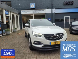 Opel Grandland X Opel Grandland X 1.2 Turbo Business Edition trekhaak - afbeelding nr 1