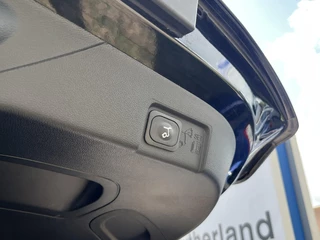 Ford Puma Ford Puma 1.0 EcoBoost Hybrid ST-Line X | Afneembare trekhaak |  Adaptive cruise control | 360graden camera | Winter Pack  | Dodehoekdetectie | Half Leder | Bang&Olufsen audio - afbeelding nr 10