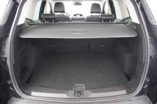 Ford Kuga - afbeelding nr 8