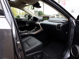 Lexus NX - afbeelding nr 11