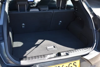 Ford Puma - afbeelding nr 7