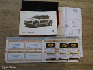 Citroën C4 Cactus Citroen C4 Cactus 1.2 PT Navigatie Airbumpers Lichtmetalen Velgen Airco - afbeelding nr 33