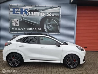 Ford Puma Ford Puma 1.5 EcoBoost ST-X 200pk. Panodak, Bi-LED, Vol !! - afbeelding nr 6