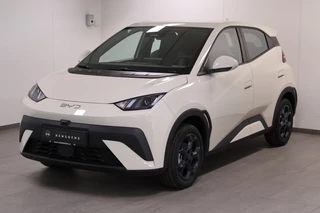 BYD DOLPHIN SURF Boost 43 kWh