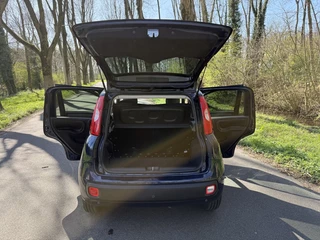 Fiat Panda - afbeelding nr 44