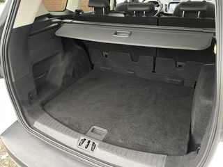 Ford Kuga - afbeelding nr 23