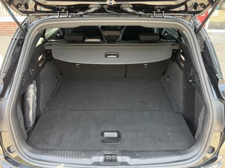 Ford Focus - afbeelding nr 9