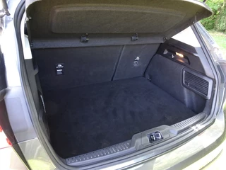 Ford Focus - afbeelding nr 10