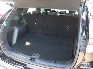 Ford Kuga Ford Kuga 2.5 PHEV Titanium I Navi I Keyless I Camera - afbeelding nr 7