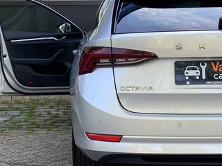 Škoda Octavia - afbeelding nr 17