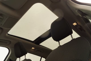 Ford Focus - afbeelding nr 8
