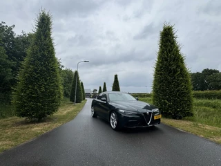 Alfa Romeo Giulia Alfa Romeo Giulia 2.0T Verde Visconti!! 37dkm!! Pano! Vol!! - afbeelding nr 32