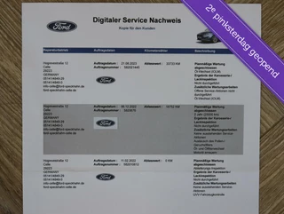 Ford Galaxy Ford Galaxy 2.5i 190PK HEV Vignale | 7 persoons - afbeelding nr 21