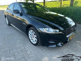 Jaguar XF Jaguar XF 2.0d Corporate Edition R-Sport, Groot O.H. Lees - afbeelding nr 8
