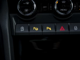 Škoda Karoq | Leer | Navi  & App-Connect | 18