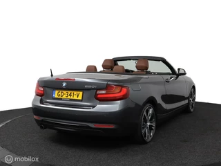 BMW 2 Serie BMW 2-serie Cabrio 220i Sport Aut8 184Pk | NL Auto | Bruin-leder | clima | 19-breed set | xenon | Trekhaak | M-stoelen | TOPSTAAT - afbeelding nr 5