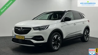 Opel Grandland X 1.2 Turbo Business Executive CAMERA TREKHAAK CARPLAY LM NAVI ECC CRUISE.