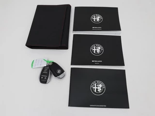 Alfa Romeo Stelvio Alfa Romeo Stelvio 2.0 T Q4 Super | Camera | Sportstoelen | Xenon |  Navigatie | Elektrische achterklep | Cruise control - afbeelding nr 13