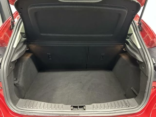 Ford Focus Ford Focus 1.5 Titanium Edition LEER CAMERA 180 PK UNIEK - afbeelding nr 32